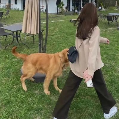 风流3壮士